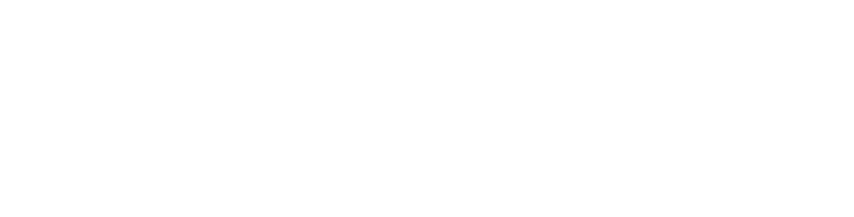 Logo of Newman Connection with a white shield icon and cross on the left, reflecting its close ties with catholic colleges and newman centers, accompanied by the words Newman Connection in white text on a transparent background.